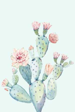 Cactus Wallpaper