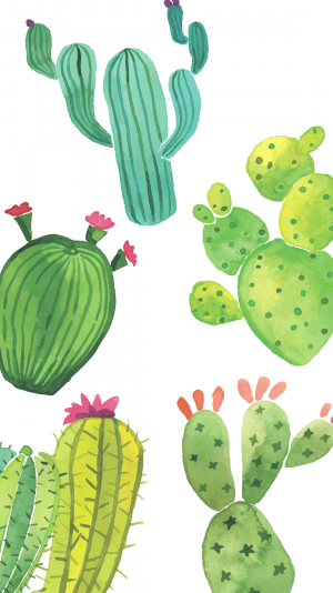 Cactus Wallpaper