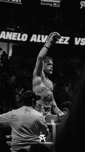 Canelo Wallpaper