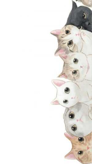 Cat Wallpaper