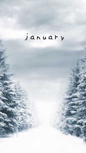 January Wallpaper