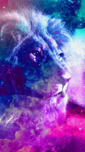 Lion Wallpaper