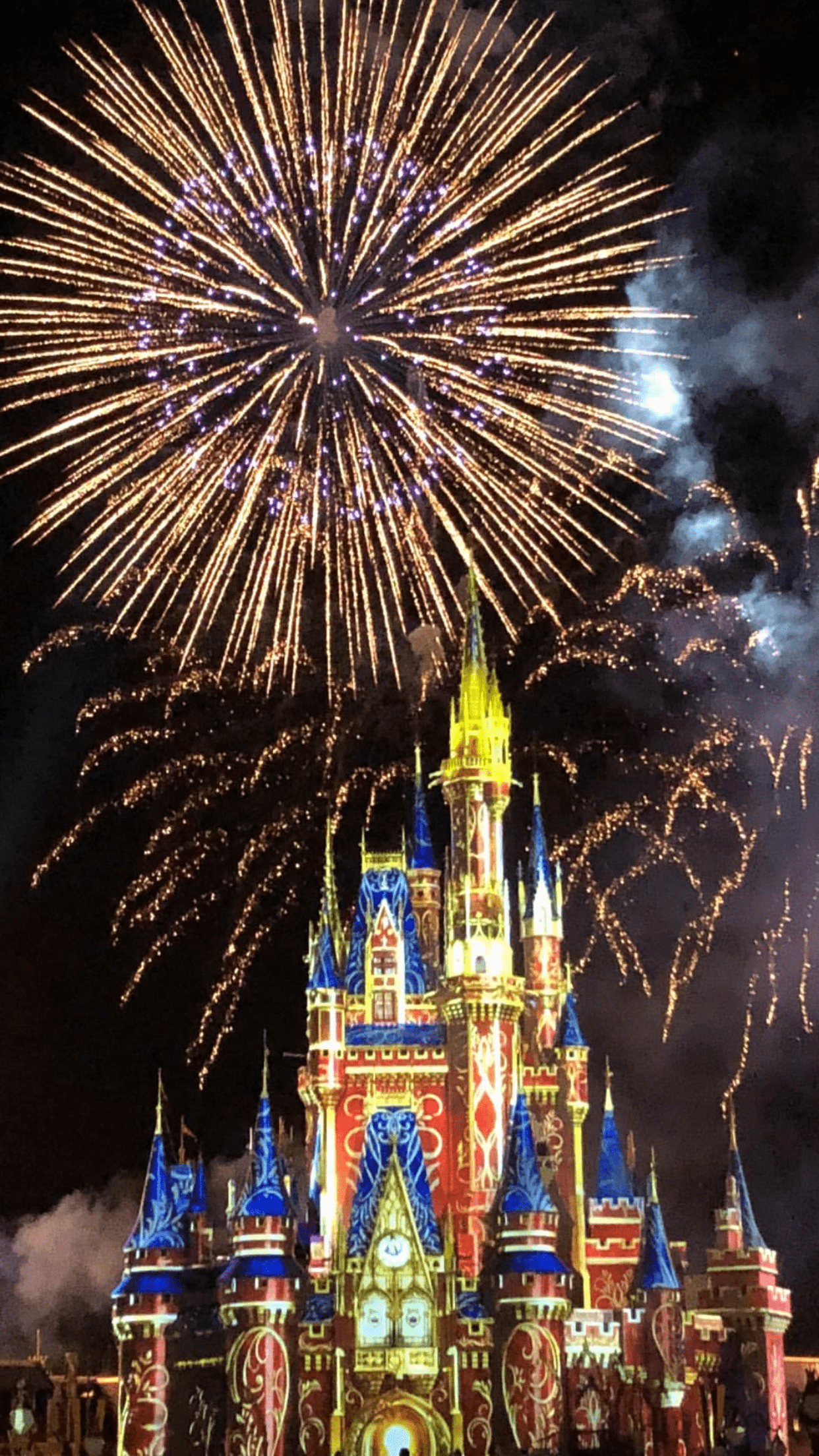 4K WDW 