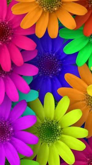 Flower Wallpaper