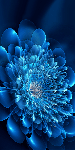 HD Flower Wallpaper