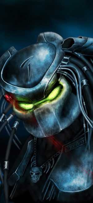 HD Predator wallpaper HD Predator wallpaper