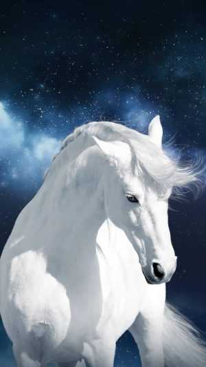 Horse Wallpaper