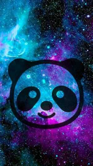 HD Panda Wallpaper