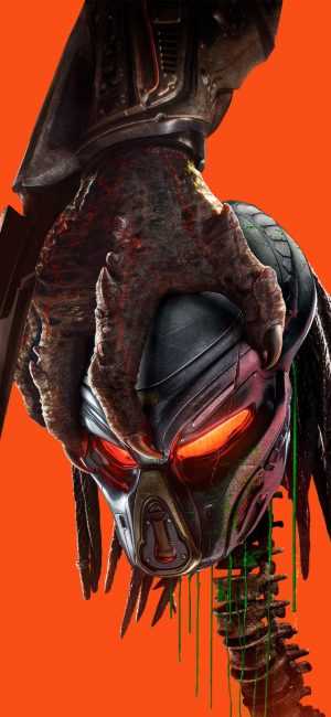 Predator Background