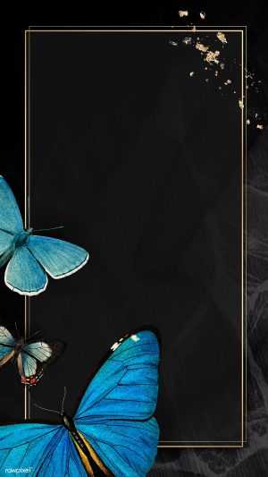 Blue Butterfly Wallpaper