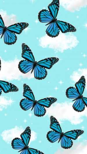 Blue Butterfly Wallpaper