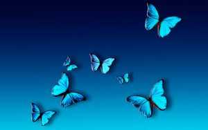 Desktop Blue Butterfly Wallpaper