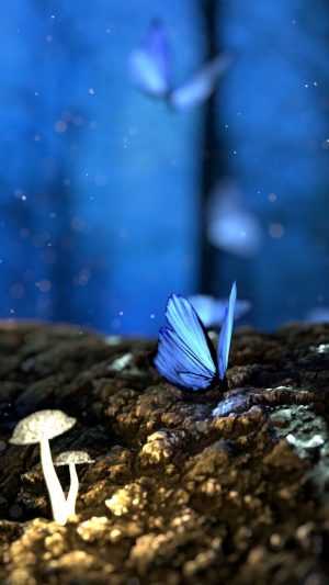 Blue Butterfly Wallpaper