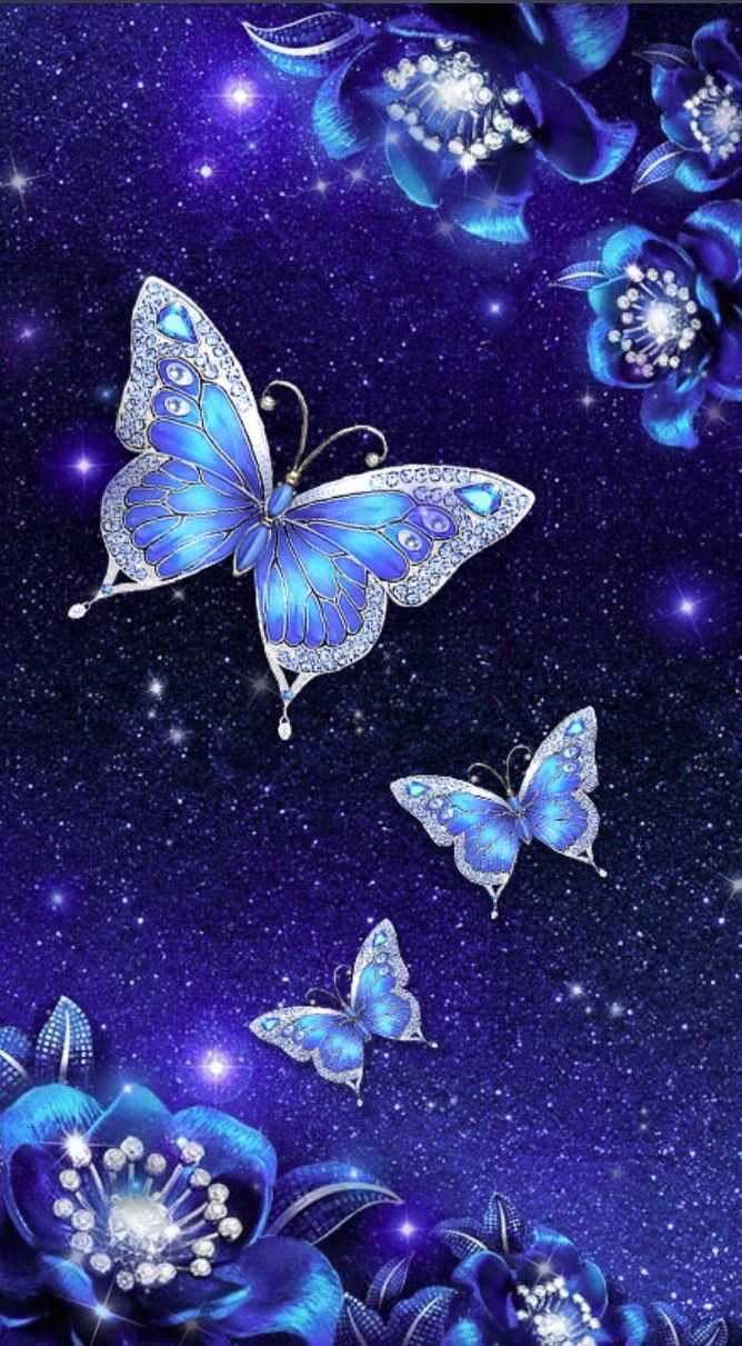 Blue Butterfly Wallpaper Ixpap