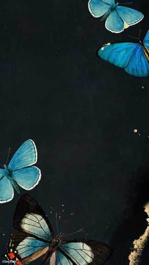 Blue Butterfly Wallpaper