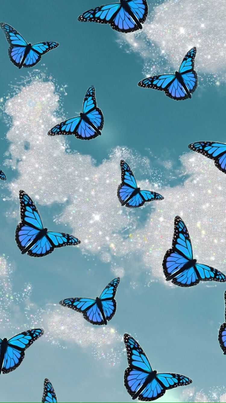 Blue Butterfly Wallpaper - iXpap