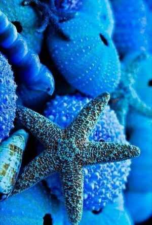 Blue Wallpaper Blue Wallpaper