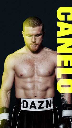 HD Canelo Wallpaper