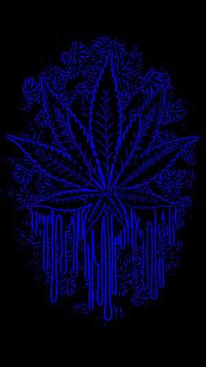 Crip Wallpaper