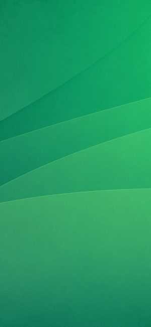 Green Wallpaper