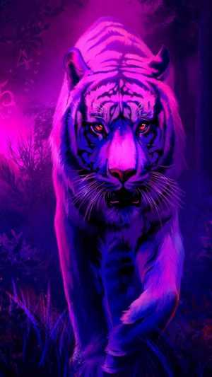 Purple Background