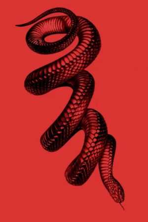 4K Snake Wallpaper