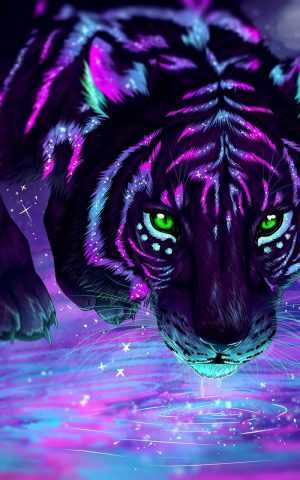 Tiger Wallpaper Tiger Wallpaper