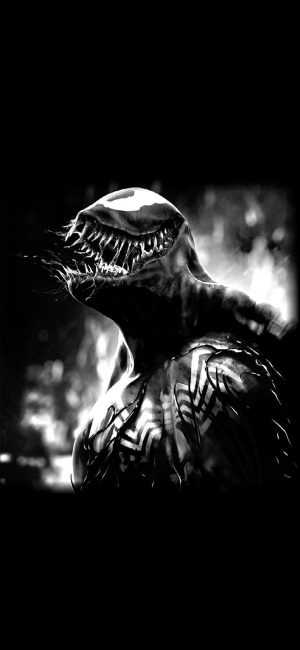 Venom Wallpaper