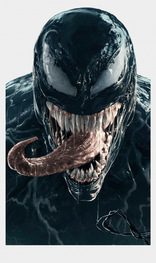 VENOM #29 VALERIO GIANGIORDANO SET OF 2 Exclusive Variant Ltd 1500