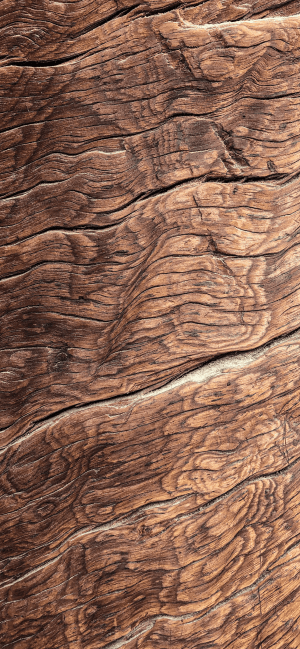 Wood Wallpaper