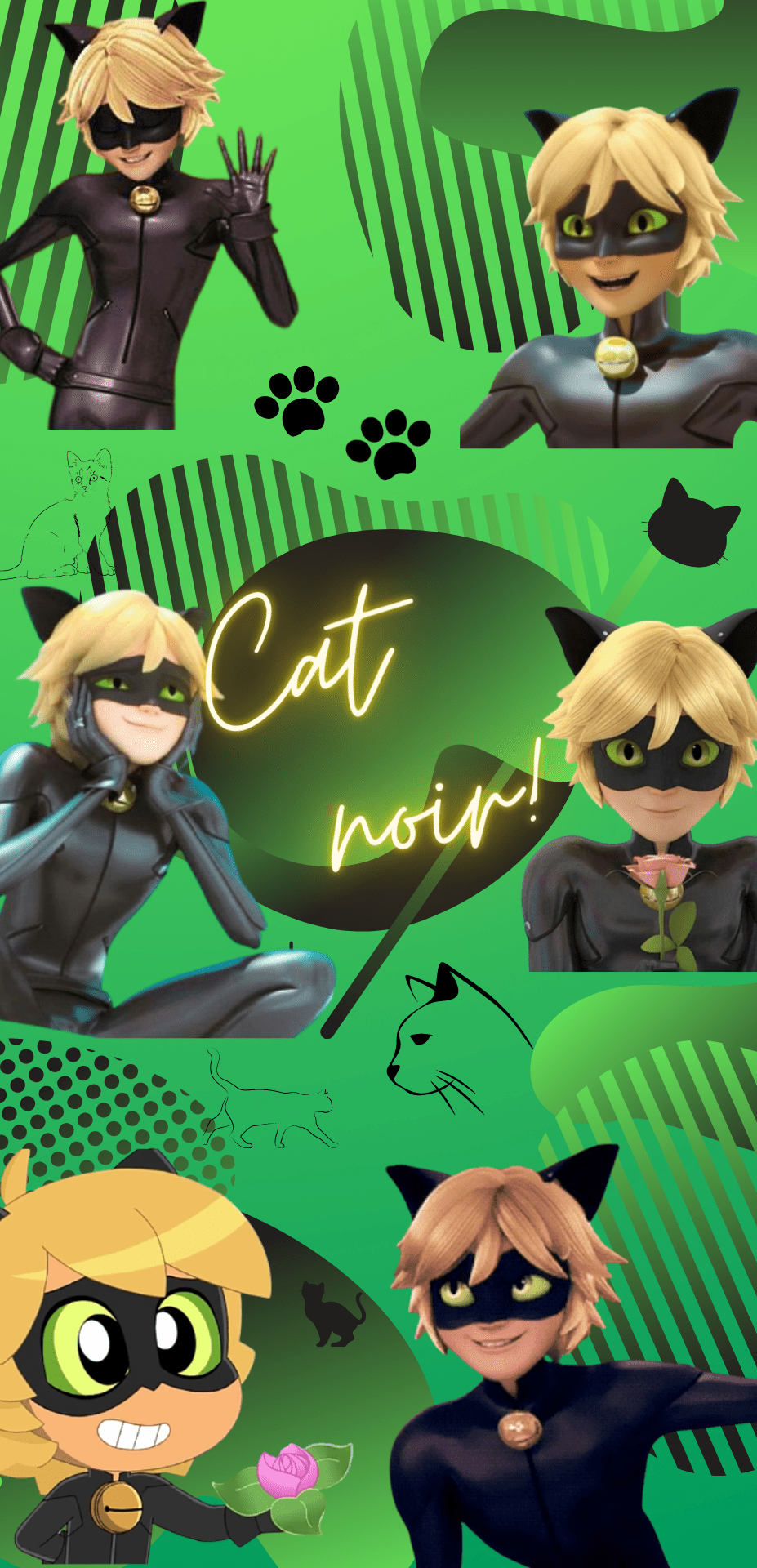 Download Miraculous Ladybug And Cat Noir Characters Wallpaper