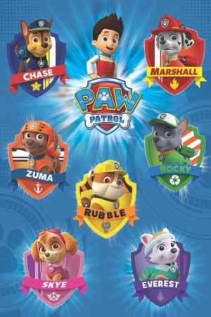 Paw Patrol Bakground