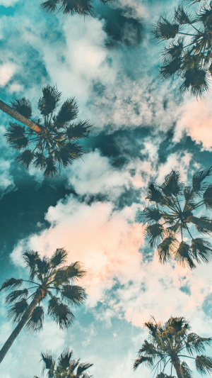 Summer Wallpaper