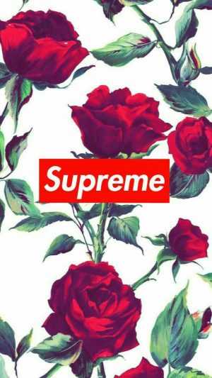 Supreme Wallpaper