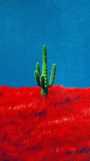 Cactus Background