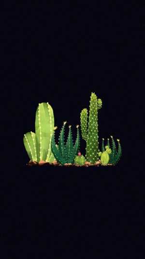 4K Cactus Wallpaper