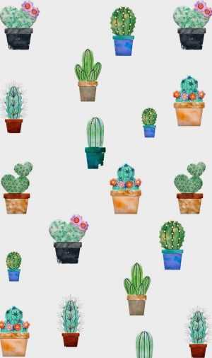 Cactus Background