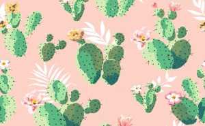 Desktop Cactus Wallpaper