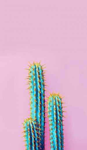 Cactus Wallpaper