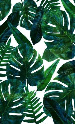 Tropical Wallpaper