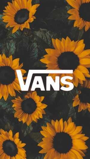 Vans Background