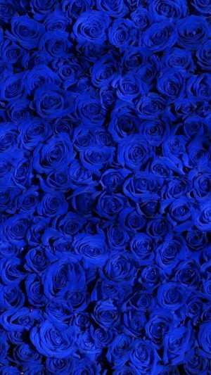 Blue Wallpaper