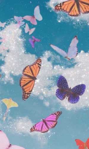 Butterfly Background