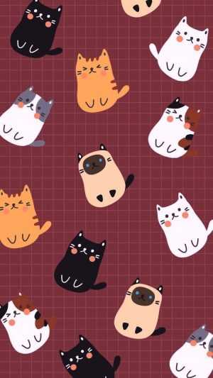 Cat Wallpaper