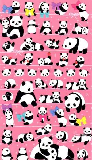 Panda Wallpaper