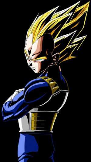 Vegeta Wallpaper