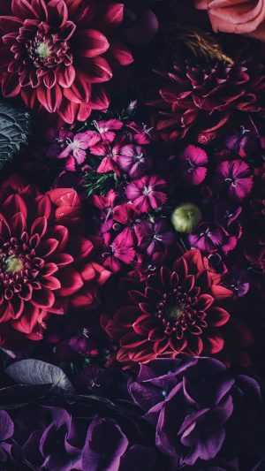 Flowers Wallpaper