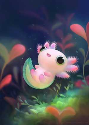 HD Axolotl Wallpaper HD Axolotl Wallpaper