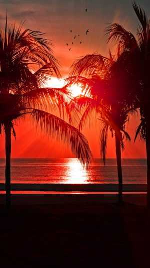 Sunset Beach Wallpaper