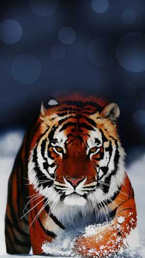 Tiger Background